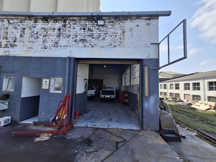 To Let Commercial Property for Rent in Arcadia Eastern Cape